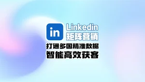 LinkedIn领英矩阵营销
