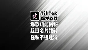 TikTok群发软件