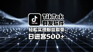 TikTok群发软件