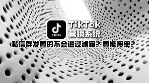 TikTok营销系统