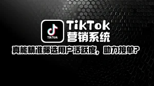 TikTok营销系统