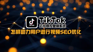 TikTok云控群控营销系统