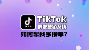 TikTok 群发营销系统