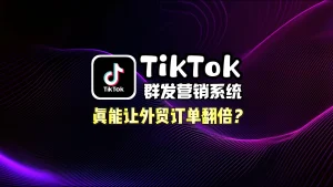 TikTok 群发营销系统