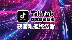 TikTok 群发营销系统