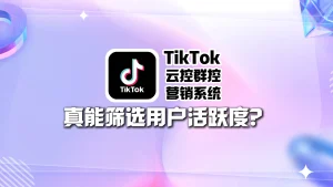 TikTok云控群控营销系统