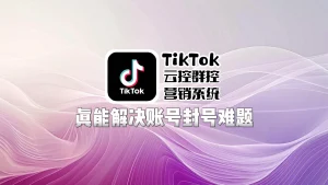 TikTok云控群控营销系统