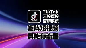 TikTok云控群控营销系统