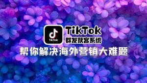 TikTok群发获客系统