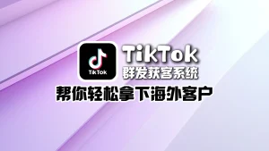 TikTok群发获客系统