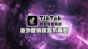 TikTok群发获客系统