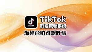 TikTok群发营销系统