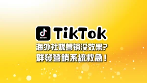TikTok群发营销系统