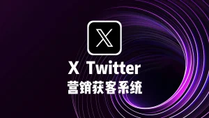 Twitter营销获客系统