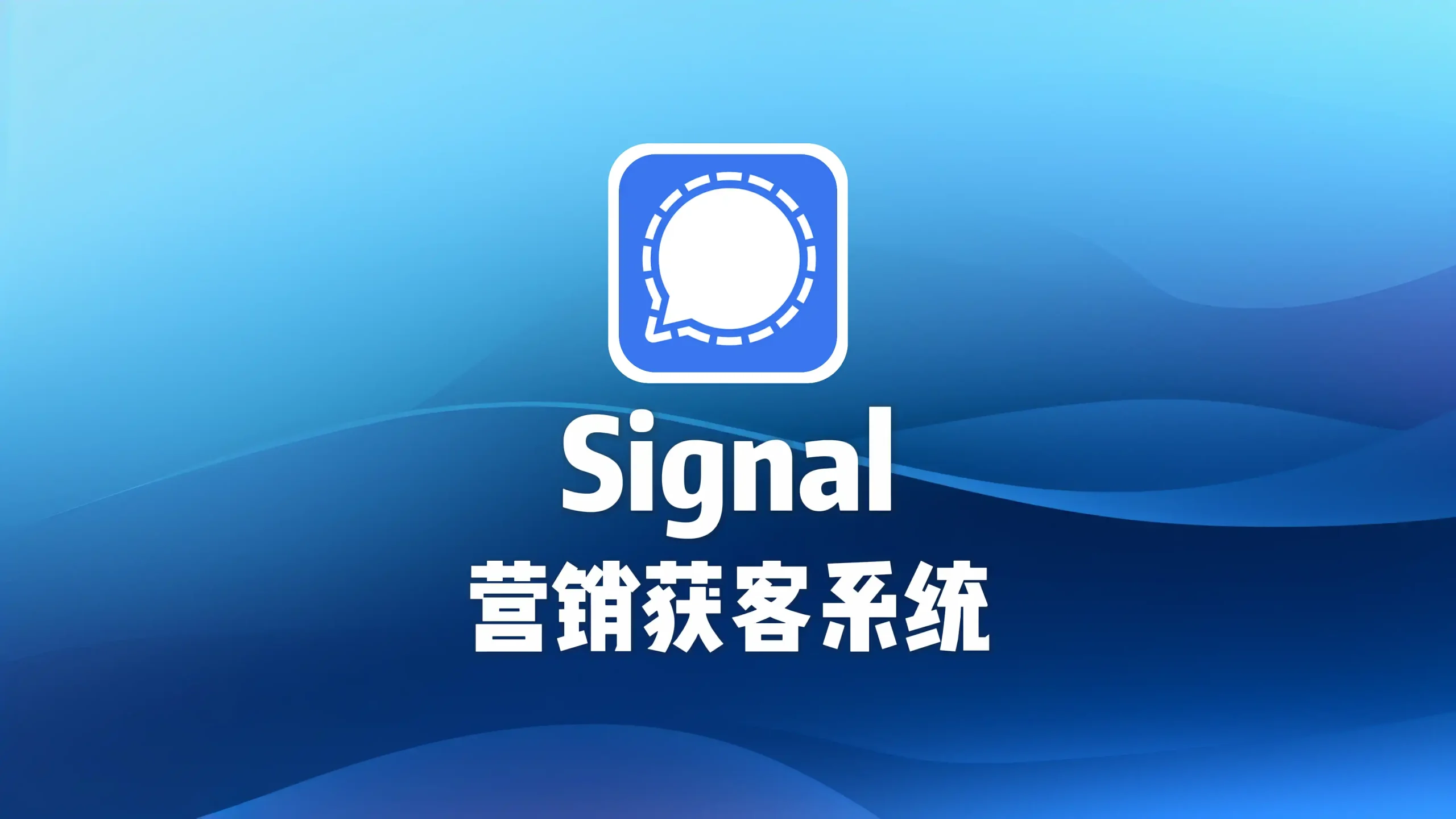 signal营销获客系统