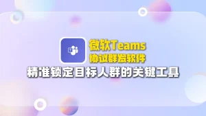 微软Teams协议群发软件：精准锁定目标人群的关键工具