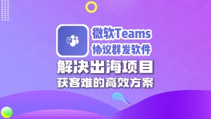 微软Teams协议群发软件：解决出海项目，获客难的高效方案