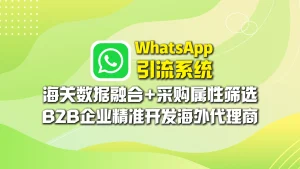 WhatsApp引流系统​：海关数据融合+采购属性筛选，B2B企业精准开发海外代理商