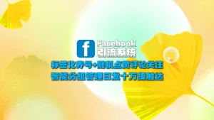 Facebook引流系统：标签化养号+随机点赞评论关注，智能分组管理日发十万级触达