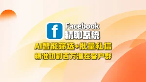 Facebook精聊系统：AI智能筛选+批量私信，精准切割百万潜在客户群
