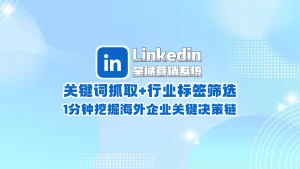 Linkedin领英全域营销系统​：关键词抓取+行业标签筛选，1分钟挖掘海外企业关键决策链！