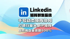 Linkedin领英矩阵群发系统：千号动态矩阵协同,打造行业头部IP矩阵,自然询盘量激增800