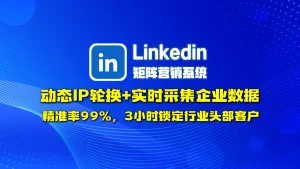 Linkedin领英矩阵营销系统​：动态IP轮换+实时采集企业数据，精准率99%，3小时锁定行业头部客户！