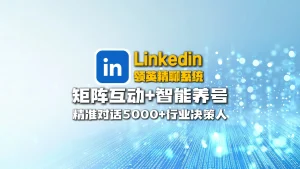 Linkedin领英精聊系统：矩阵互动+智能养号，精准对话5000+行业决策人