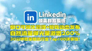 Linkedin领英群发系统​：窗口可视化管理+矩阵动态发布，自然流量曝光量激增200，30分钟批量触达行业Top100决策链！