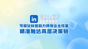 Linkedin领英营销系统：可视化标签助力跨境企业拓客，精准触达高层决策链