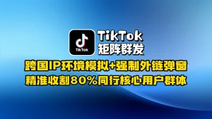 TikTok矩阵群发：跨国语言伪装+AI评论数据挖掘，日均采集千万级活跃买家数据库​