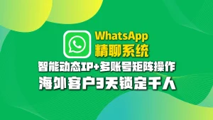 WhatsApp精聊系统：智能动态IP+多账号矩阵操作，海外客户3天锁定千人