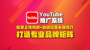 youtube推广系统：批量上传视频+自动设置头像简介，打造专业品牌矩阵