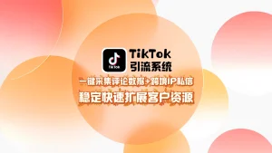 TikTok引流系统：一键采集评论数据+跨境IP私信，稳定快速扩展客户资源