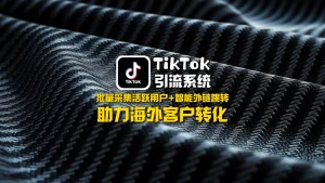 TikTok引流系统：批量采集活跃用户+智能外链跳转，助力海外客户转化