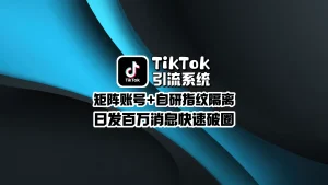 TikTok引流系统：矩阵账号+自研指纹隔离，日发百万消息快速破圈