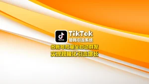 TikTok矩阵引流系统：多账号批量全自动群发，实现规模化引流增长