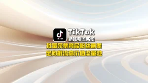 TikTok矩阵引流系统：批量采集竞品粉丝画像，定向截流高价值流量池