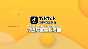 TikTok矩阵引流系统：自动设置头像与简介+多维度标签养号，打造高权重账号池