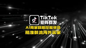TikTok矩阵群发：AI商家数据挖掘筛选，精准截流海外买家