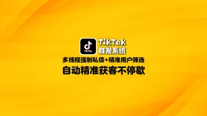 TikTok群发系统：多线程强制私信+精准用户筛选，自动精准获客不停歇