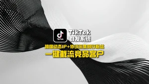 TikTok群发系统：跨国动态IP+协议采集同行粉丝，一键截流竞品客户