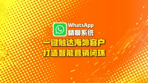 WhatsApp精聊系统：一键触达海外客户，打造智能营销闭环