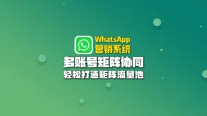 WhatsApp营销系统：多账号矩阵协同，轻松打造矩阵流量池