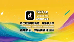 TikTok云控推广系统：协议号矩阵号私信，筛活跃人群，直播截流，外链跳转独立站