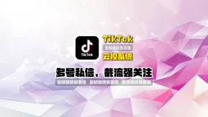 TikTok云控系统：多号私信，截流强关注