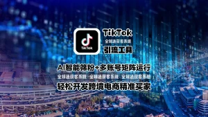 TikTok引流工具：AI智能筛粉+多账号矩阵运行，轻松开发跨境电商精准买家