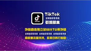 TikTok引流脚本：多通道私信，外链直连独立站WSTG等外链，高权重流量扶持，欧美日韩打粉稳！