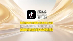TikTok引流软件：多线程矩阵号登录+强制卡片私信，直接触达欧美交友粉丝群