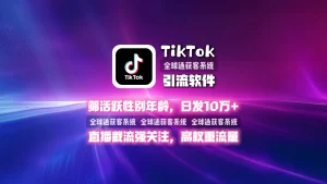 TikTok引流软件：筛活跃性别年龄，日发10万+，直播截流强关注，高权重流量
